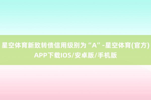 星空体育新致转债信用级别为“A”-星空体育(官方)APP下载IOS/安卓版/手机版
