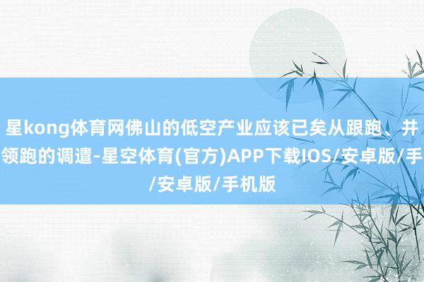 星kong体育网佛山的低空产业应该已矣从跟跑、并跑到领跑的调遣-星空体育(官方)APP下载IOS/安卓版/手机版