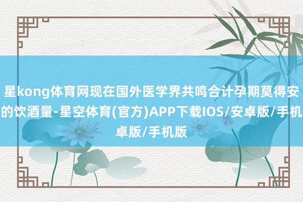 星kong体育网现在国外医学界共鸣合计孕期莫得安全的饮酒量-星空体育(官方)APP下载IOS/安卓版/手机版